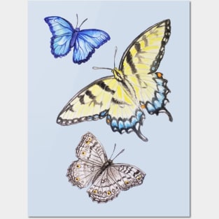 Butterflies Posters and Art
